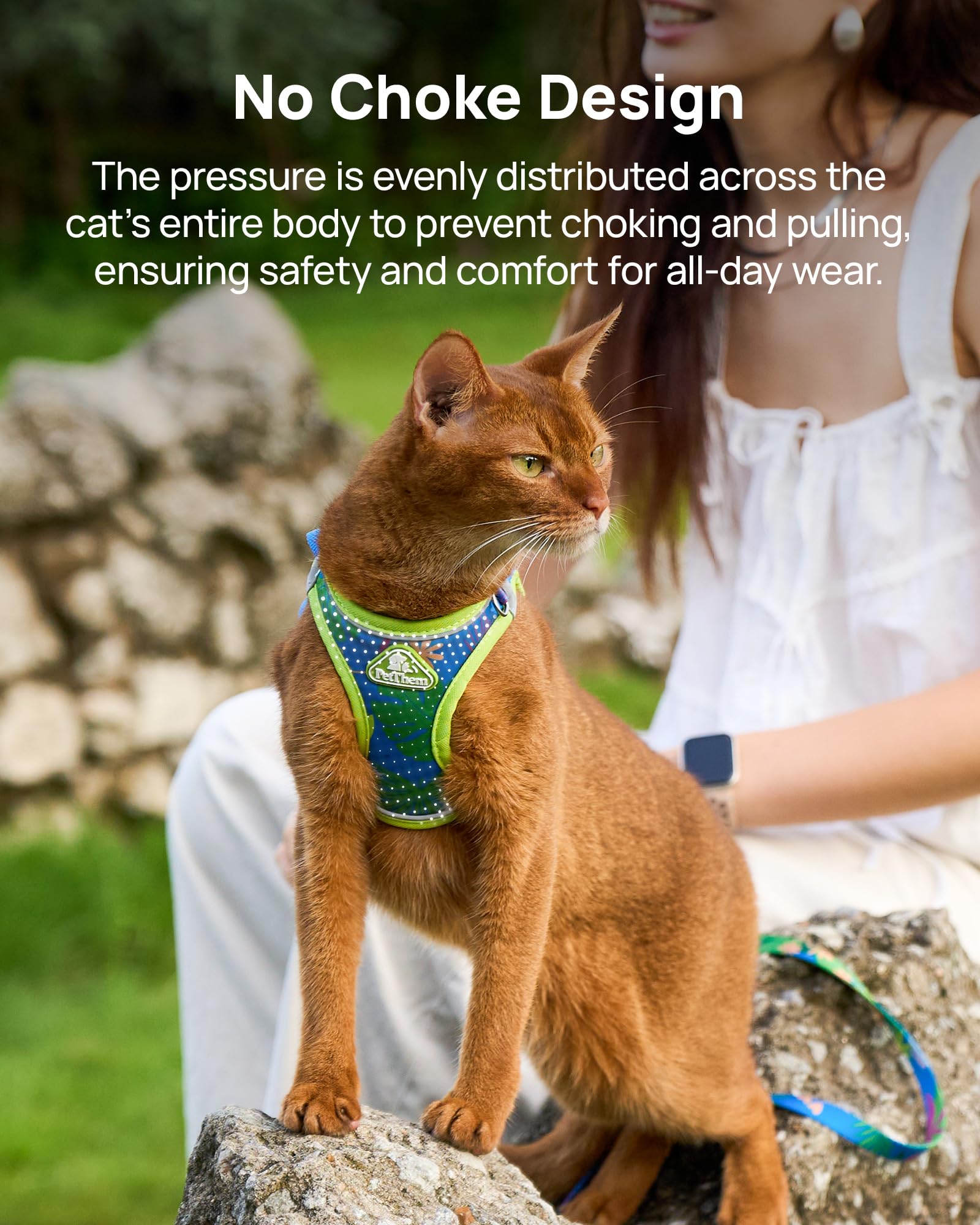 PetThem harnais porté par chat en extérieur facilitant promenades sereines