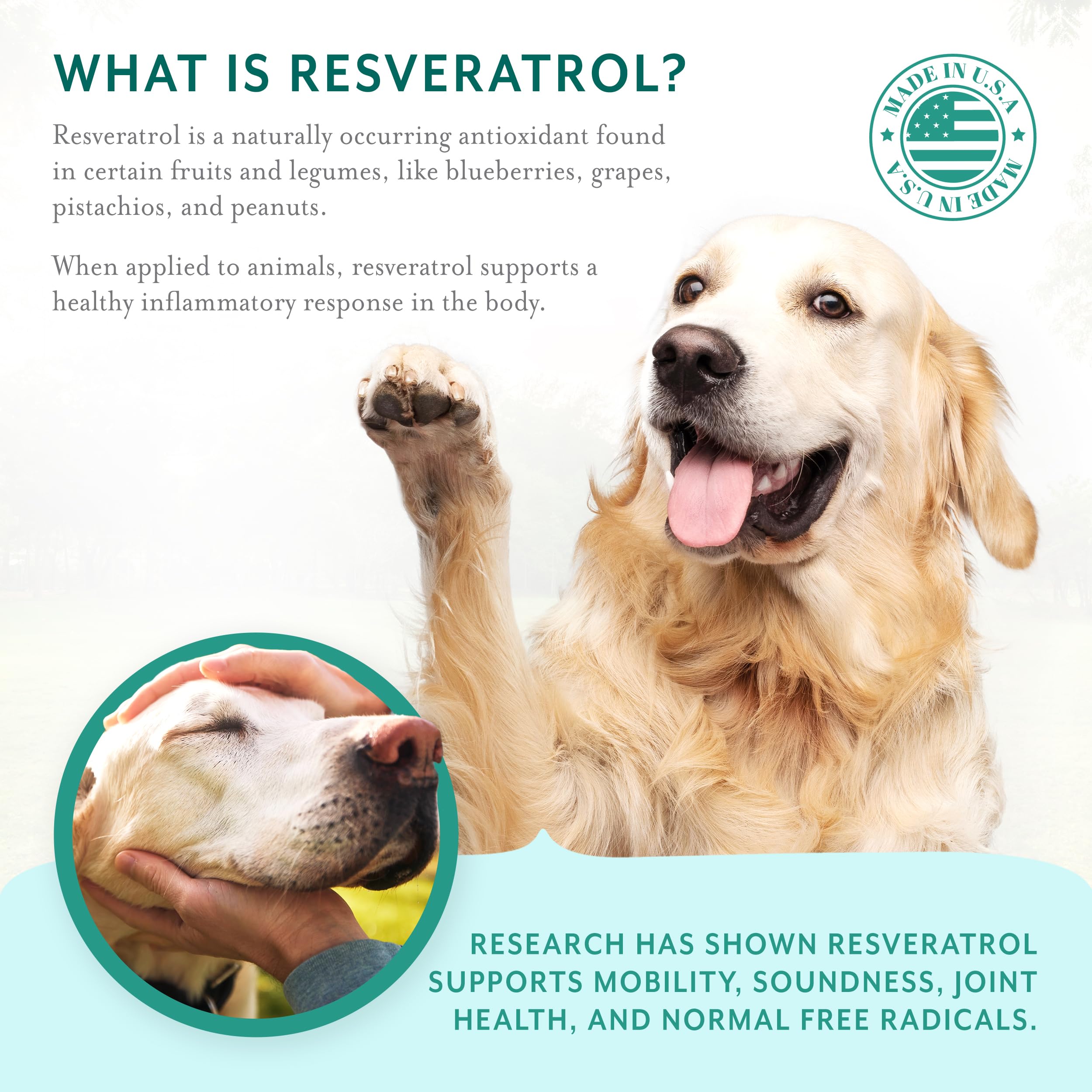 PetThrive étiquette ingrédients mettant en avant resvératrol et glucosamine