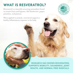 PetThrive étiquette ingrédients mettant en avant resvératrol et glucosamine
