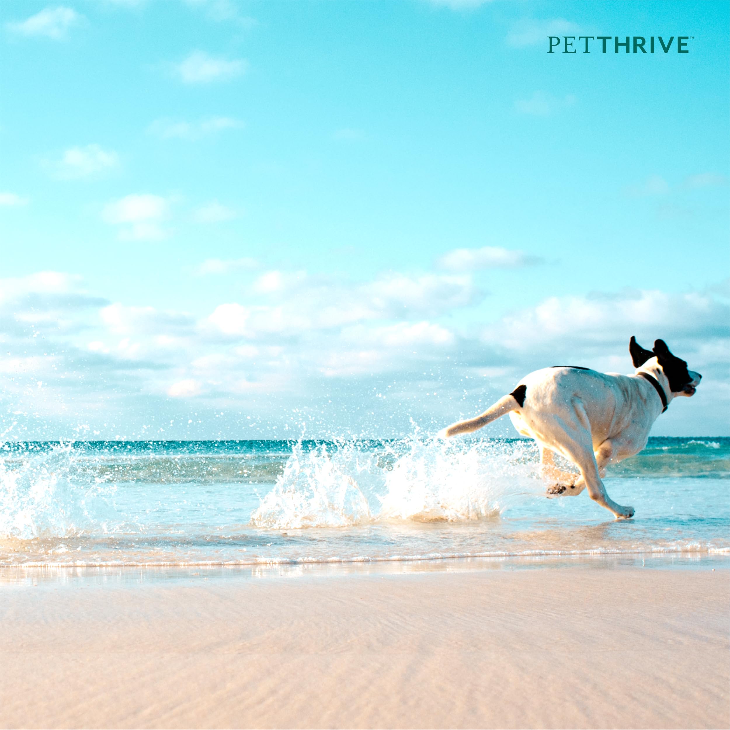 PetThrive packaging ouvert affichant les chews pour un usage quotidien