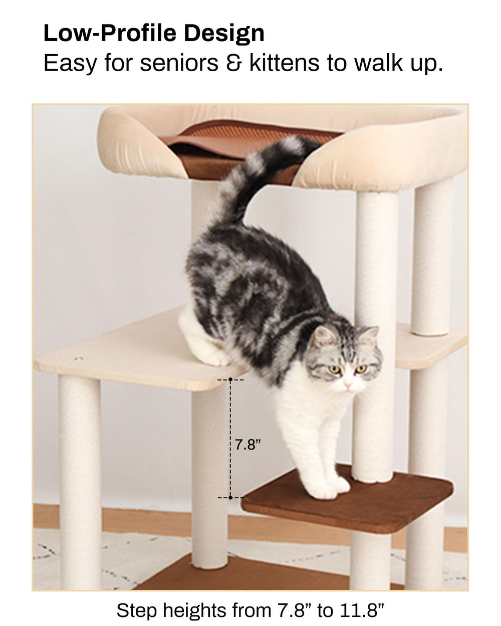 PETTIFUL base ultra-large anti-basculement assurant sécurité pendant le jeu