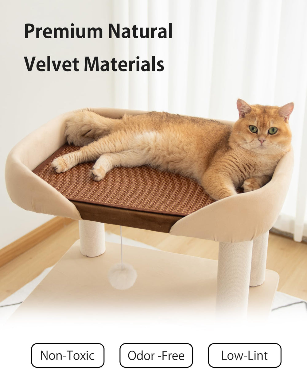 PETTIFUL chat allongé sur un plateau large offrant espace et soutien