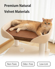 PETTIFUL chat allongé sur un plateau large offrant espace et soutien