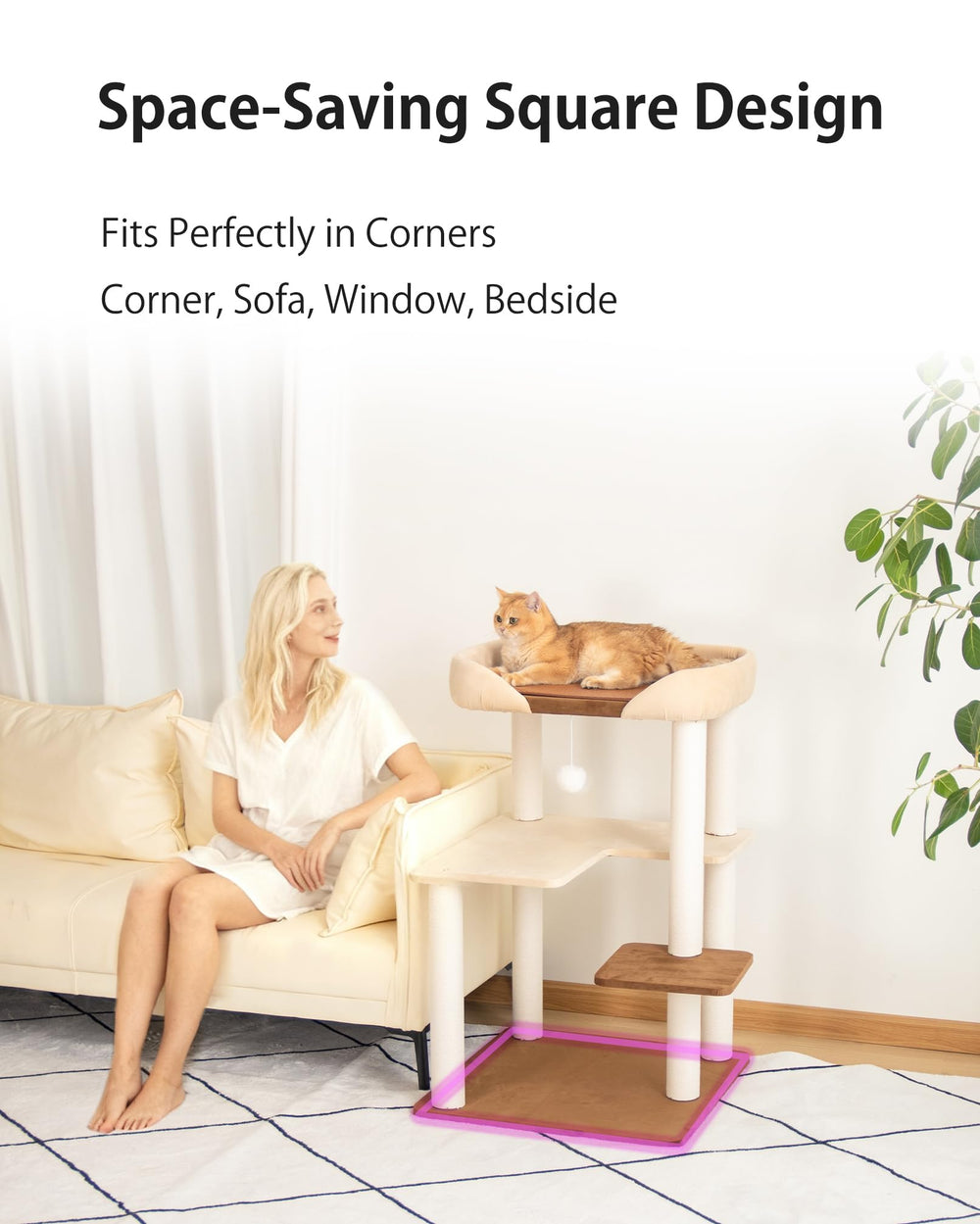 PETTIFUL comparaison de taille avec un chat adulte illustrant capacité de charge