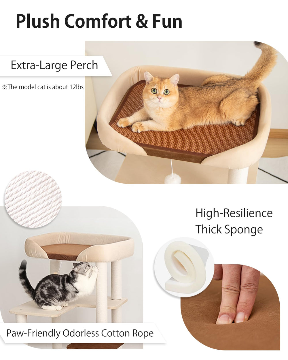 PETTIFUL poteau grattoir montrant texture résistante pour l'entretien des griffes