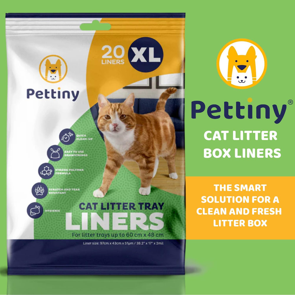 Pettiny en usage avec un chat démontrant durabilité et confort d'entretien