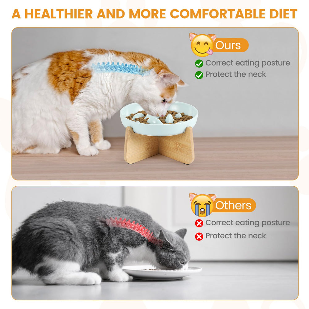 PETTOM comparaison taille montre diamètre large pour moustaches confort
