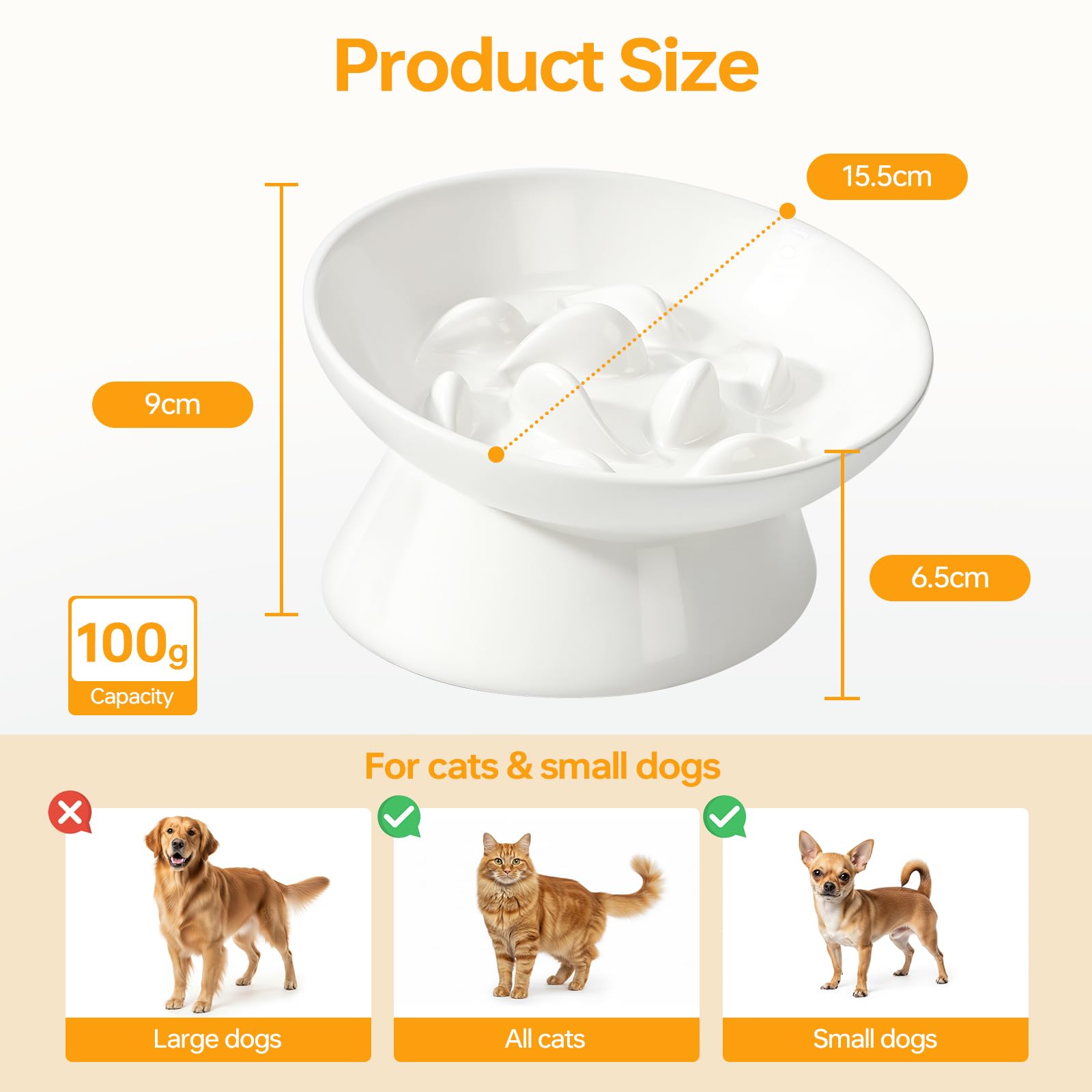 PETTOM gros plan du motif intérieur anti-glouton ralentissant la prise alimentaire