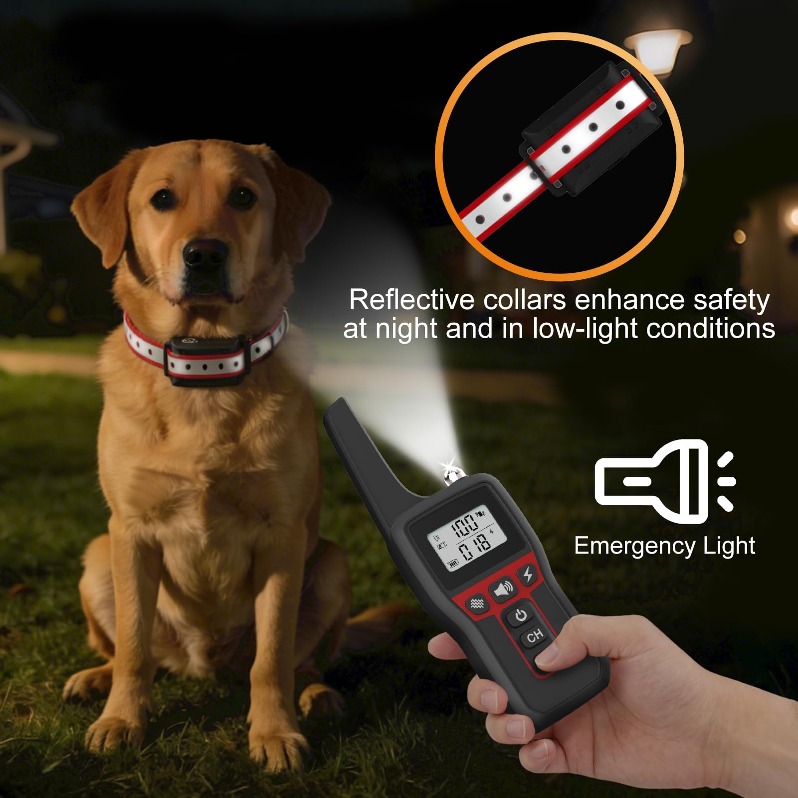 PETVENTURE collier près d’un chien pour comparer taille et ajustement