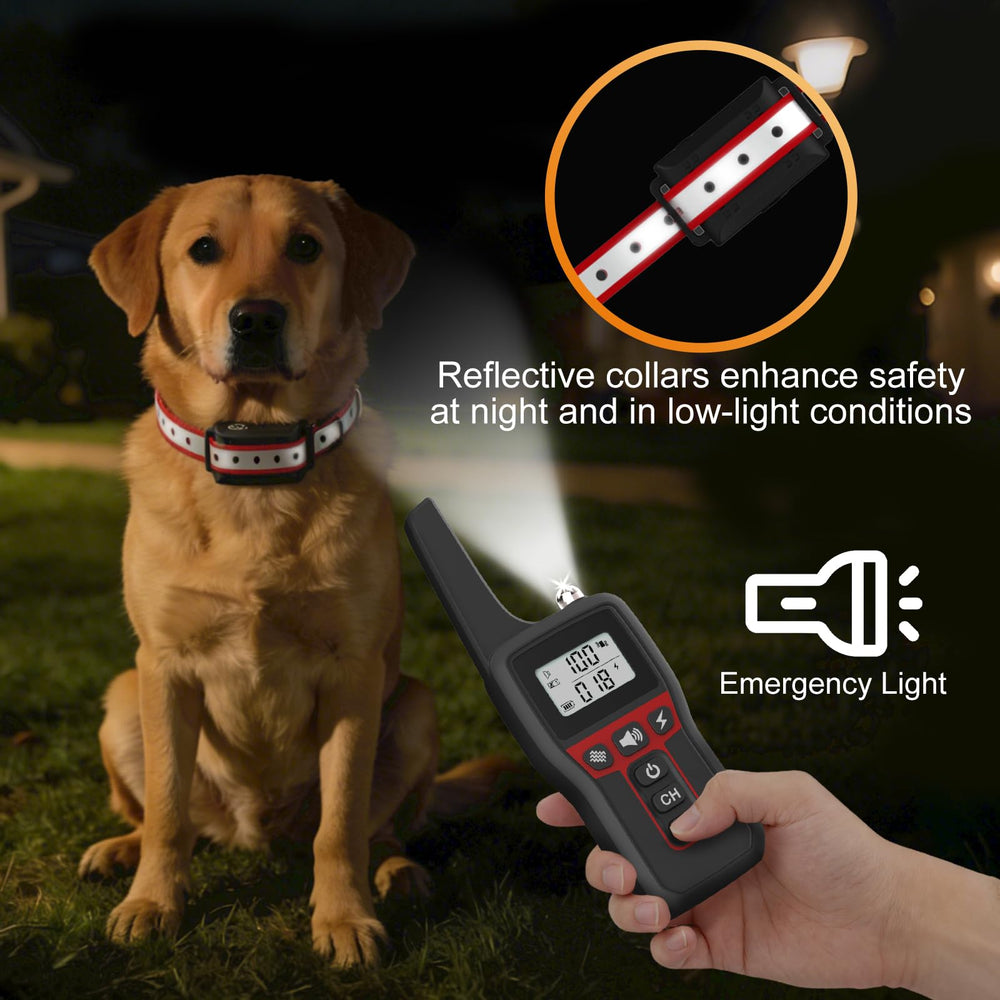 PETVENTURE collier près d’un chien pour comparer taille et ajustement
