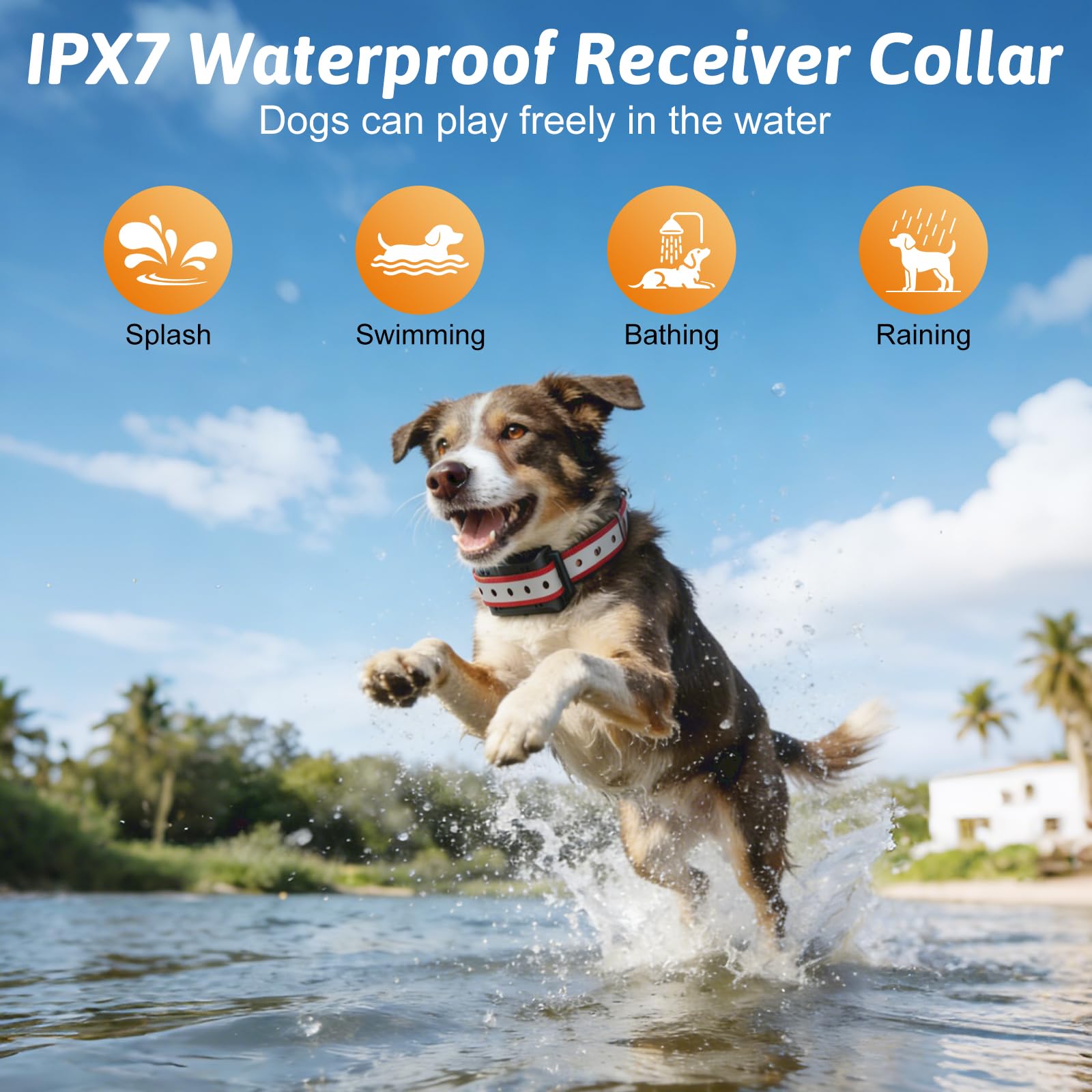 PETVENTURE collier en immersion démontrant protection IPX7 fiable
