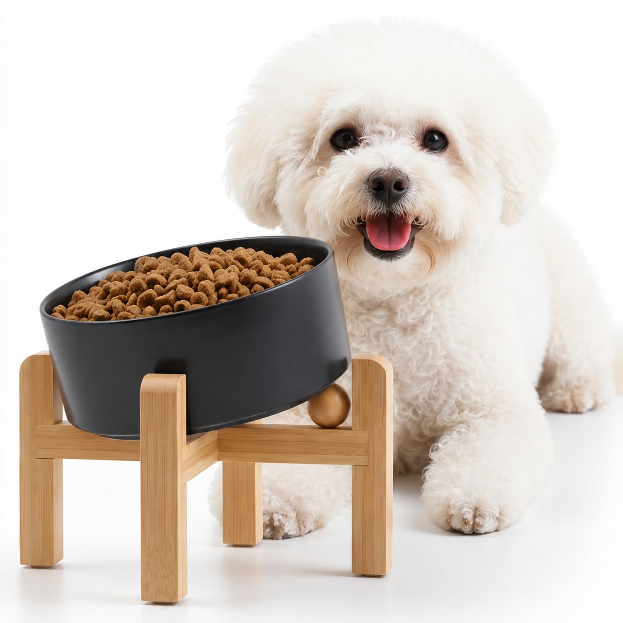 Petygooing bol céramique face visible, design moderne et stable