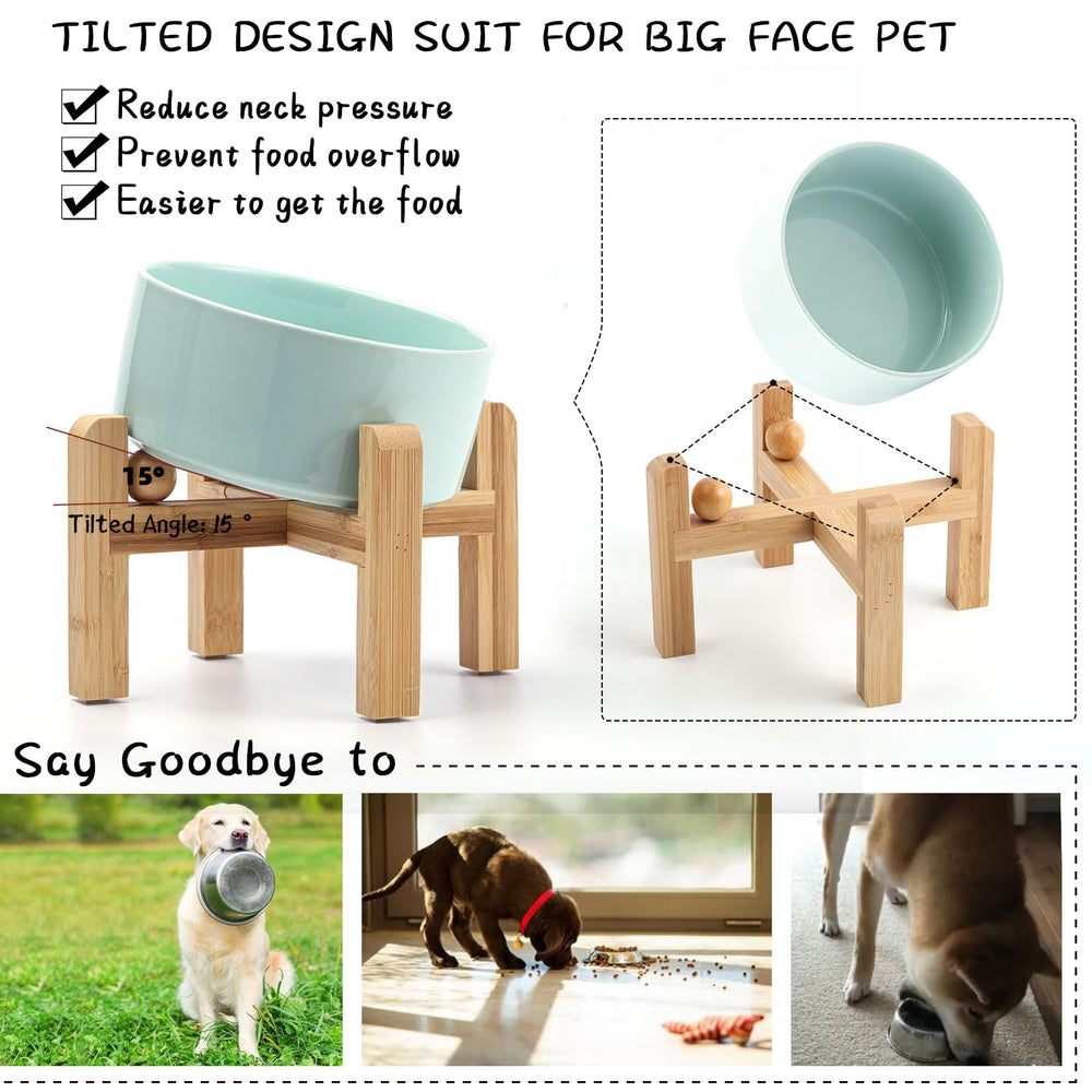 Petygooing chat mangeant dans le bol illustrant confort et posture réduite tension