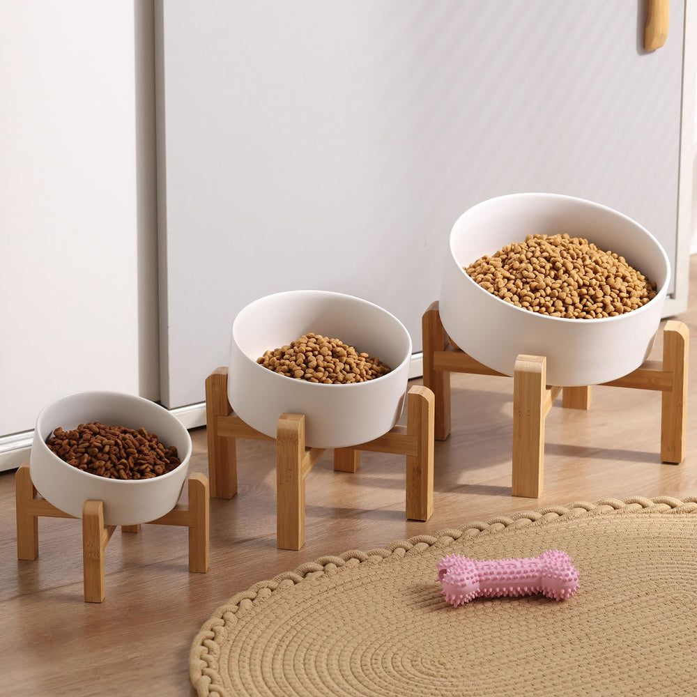 Petygooing comparaison taille avec tasse capacité 850 ml pratique