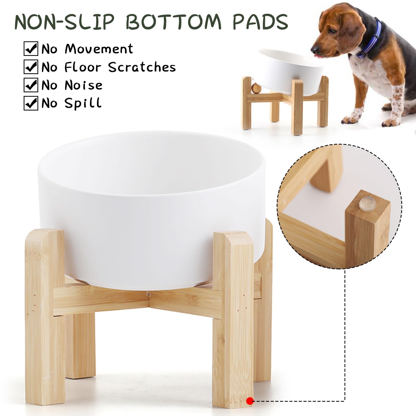 Petygooing gamelle utilisée par un chat accès facilité confortable