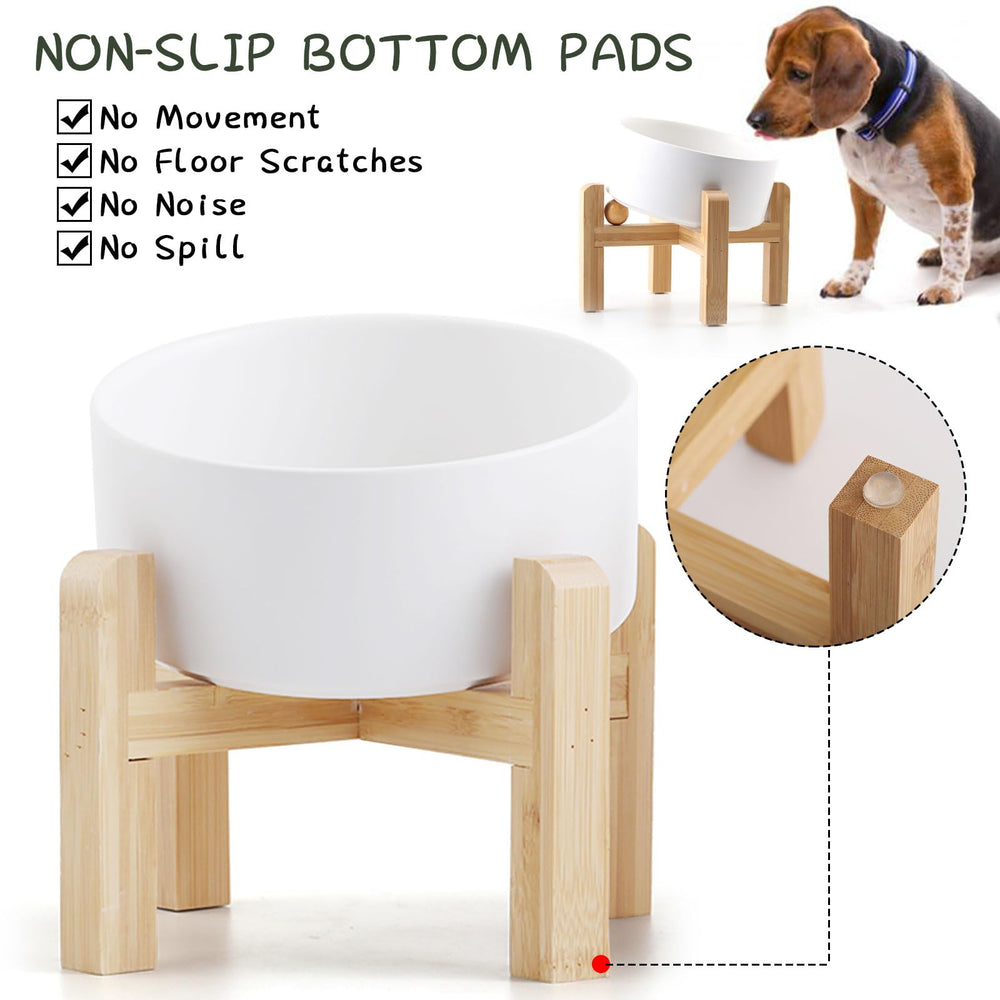 Petygooing gamelle utilisée par un chat accès facilité confortable
