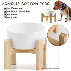 Petygooing gamelle utilisée par un chat accès facilité confortable