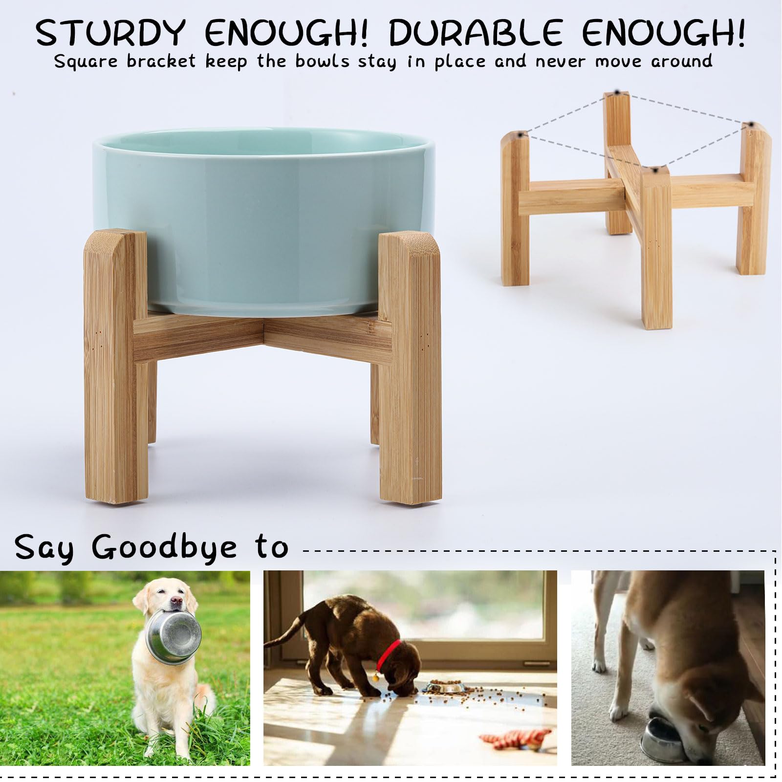 Petygooing gamelle en usage par un petit chien pour repas plus lent