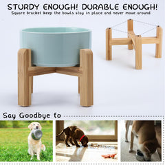 Petygooing gamelle en usage par un petit chien pour repas plus lent