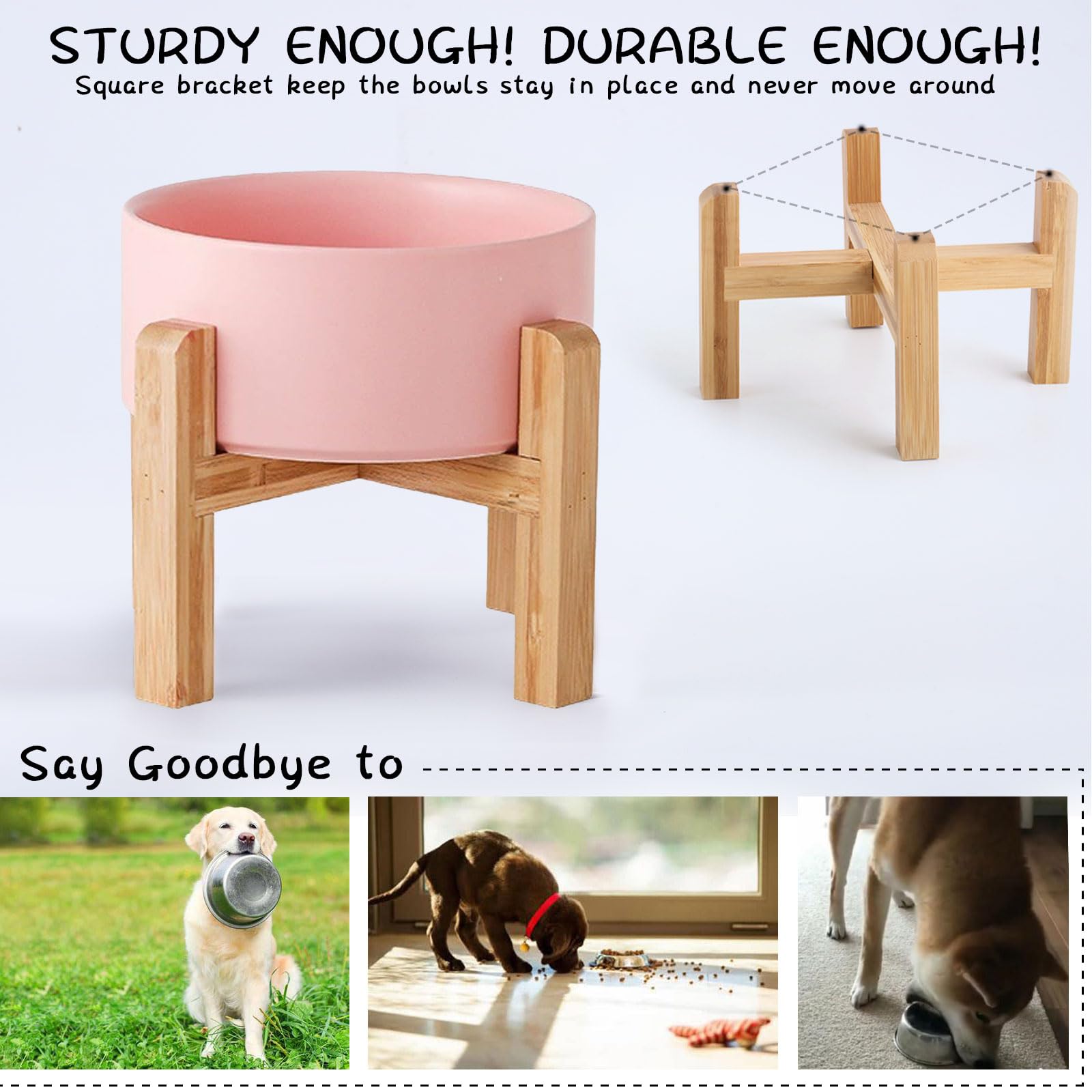 Petygooing gamelle en usage par petit chien posture confortable