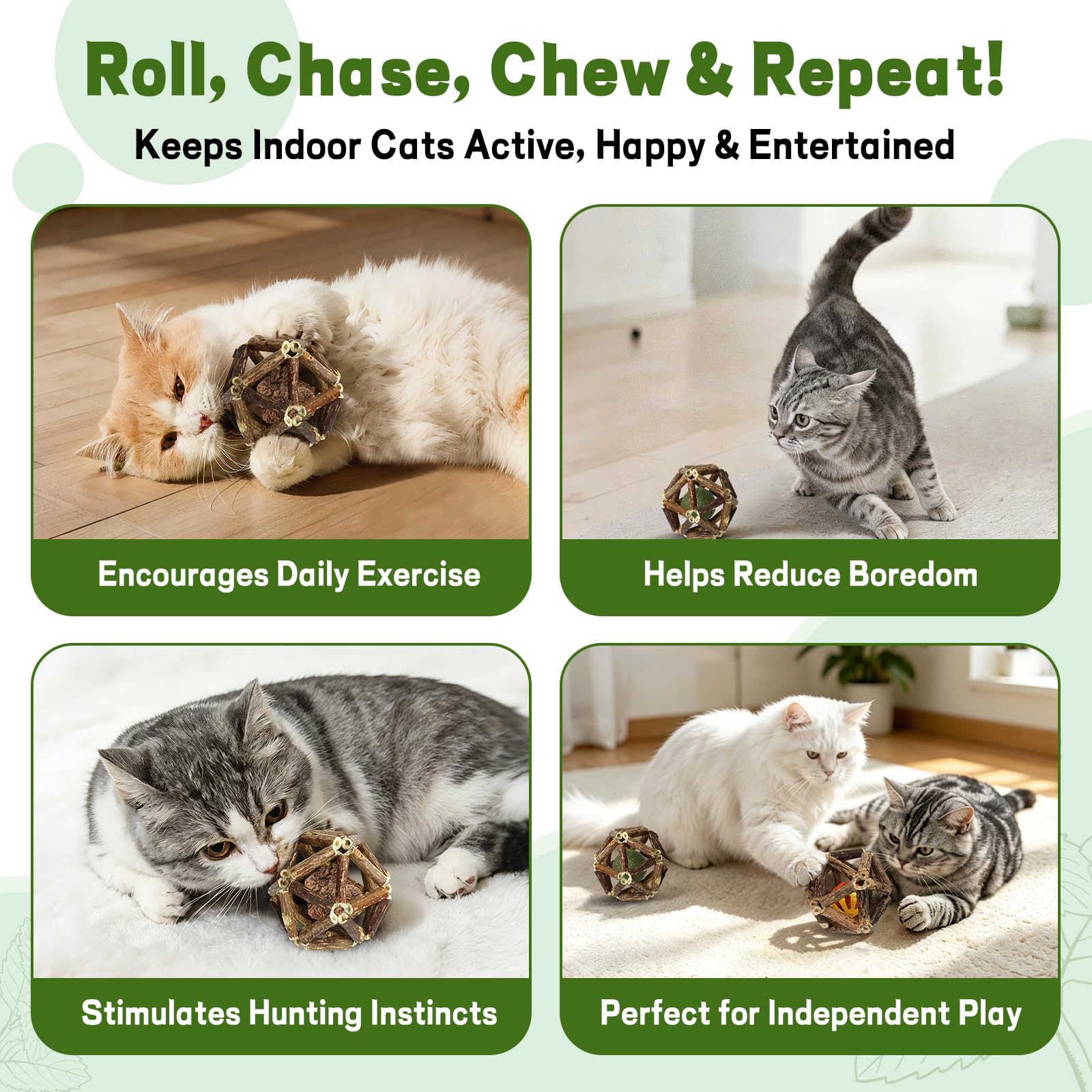 PetZen Garden chat jouant avec la balle pour exercice et stimulation