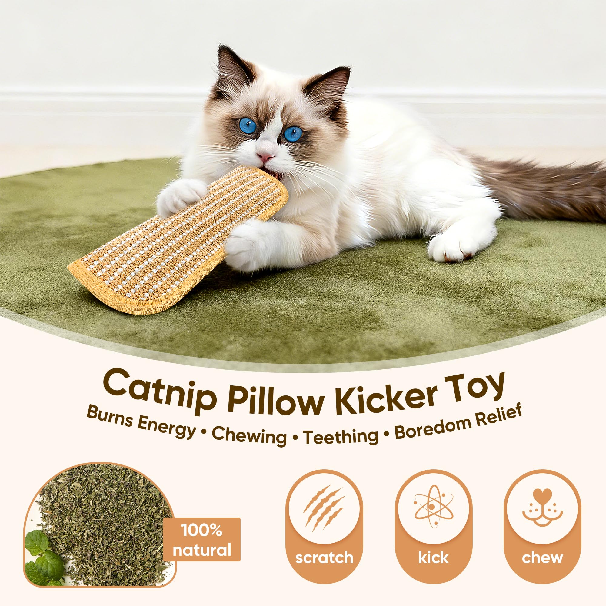 PetZen Garden étiquette affichant 8000mg de cataire biologique pour attraction prolongée