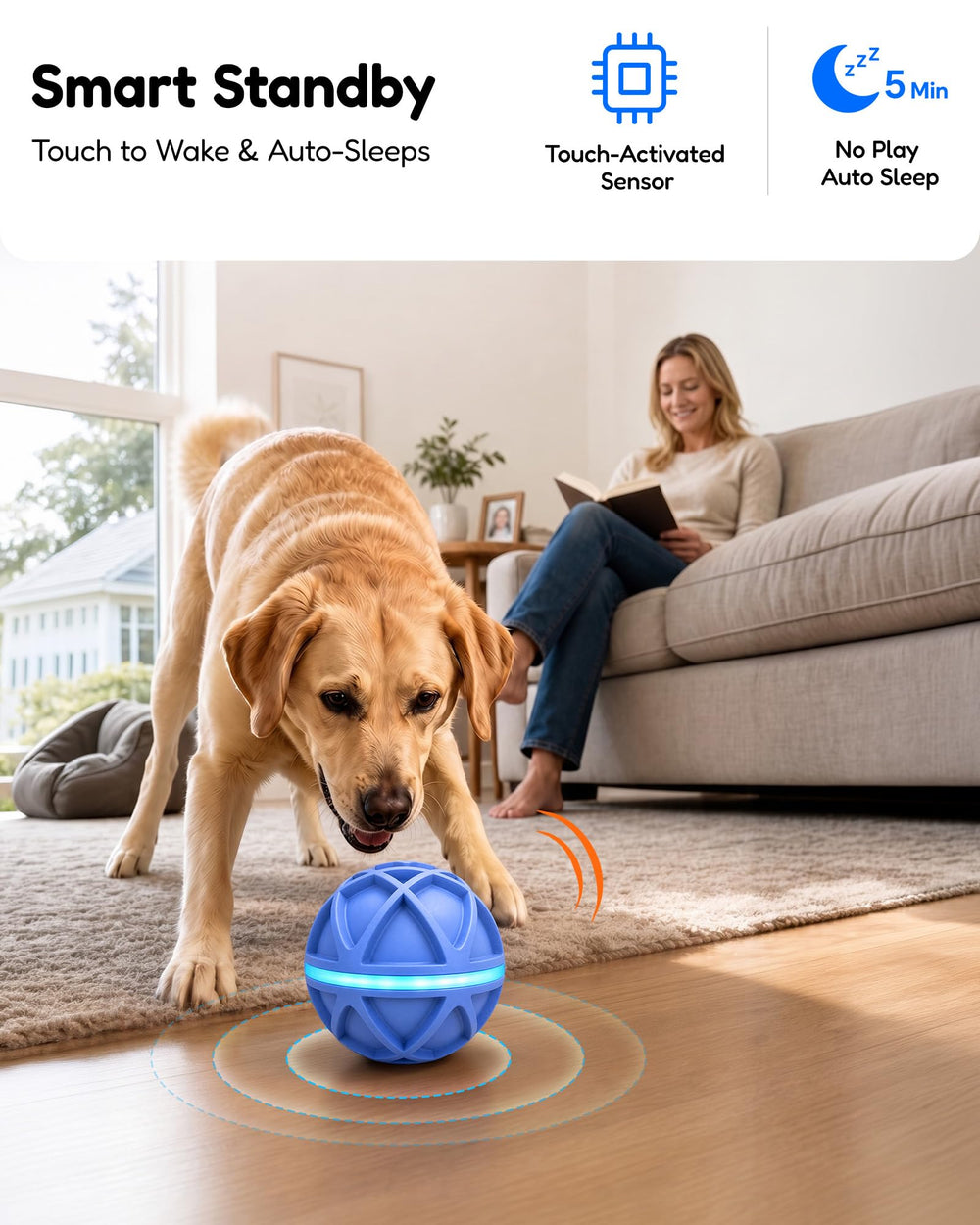 PetZest ballon utilisé dans jardin pour exercice et jeu actif