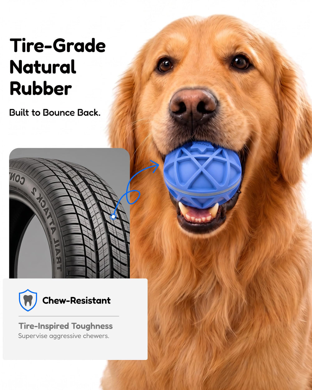 PetZest lumières LED colorées en action pour attirer chien