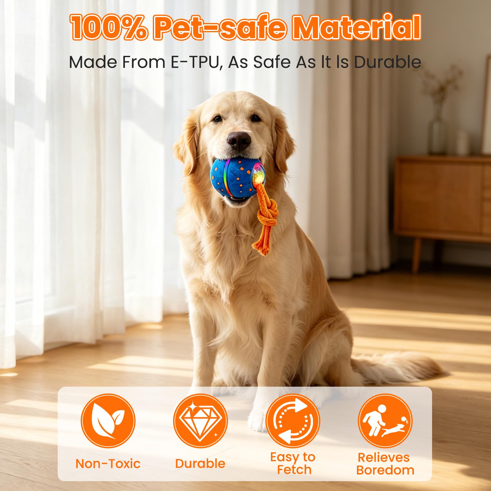 PETZYNERGY coque détachable sous l'eau pour un nettoyage simple