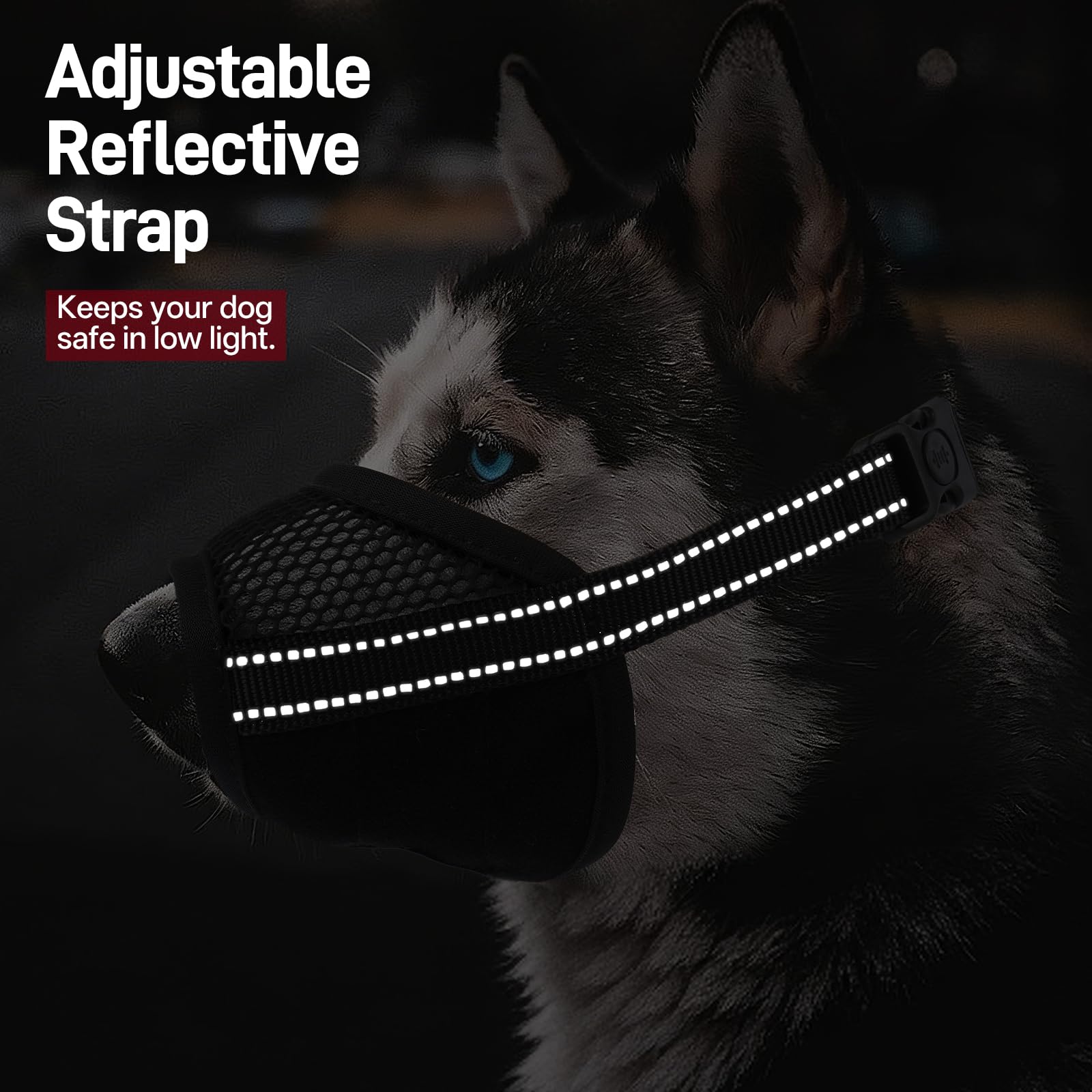Pezluxe bande réfléchissante visible de nuit augmentant visibilité et sécurité