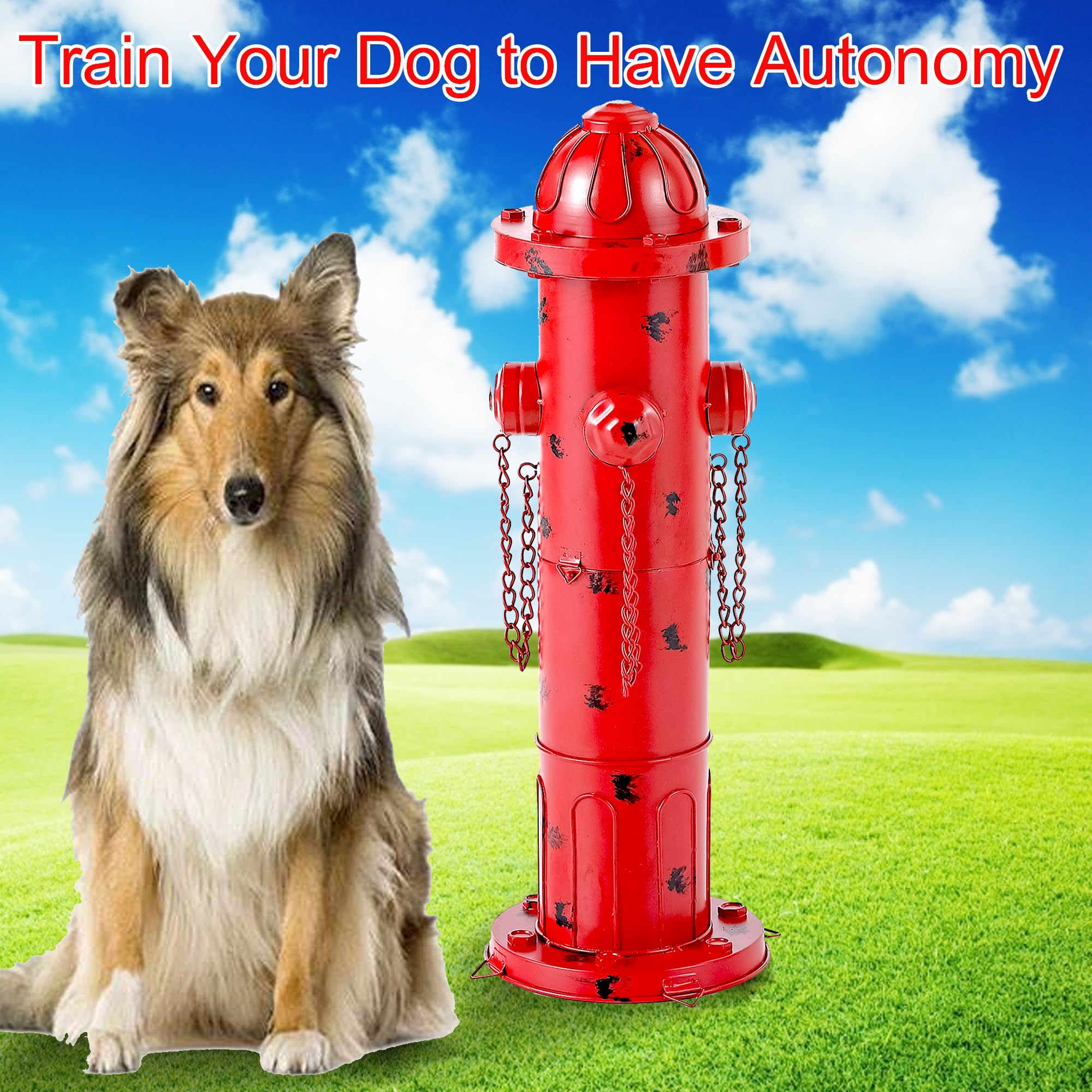 Phaxth hydrant à l'échelle près d'un chien montre hauteur adaptée