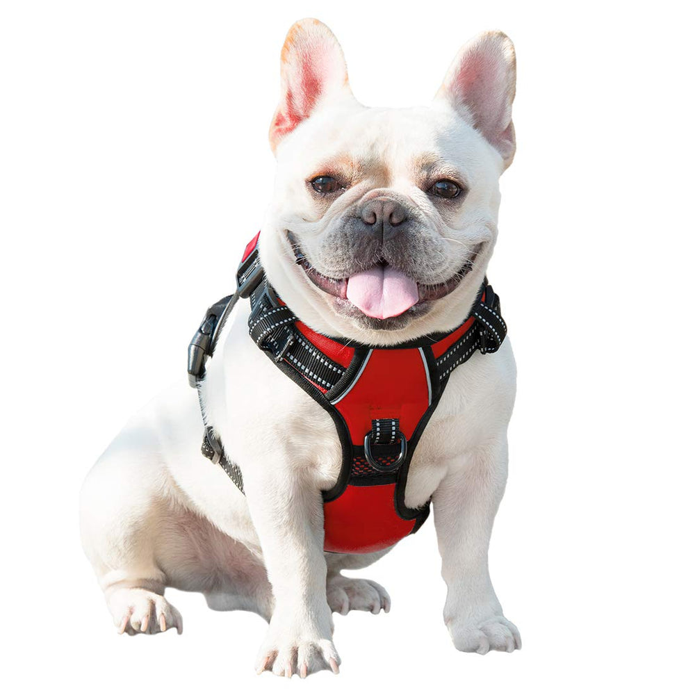 PHOEPET emballage et étiquette montrant informations produit claires