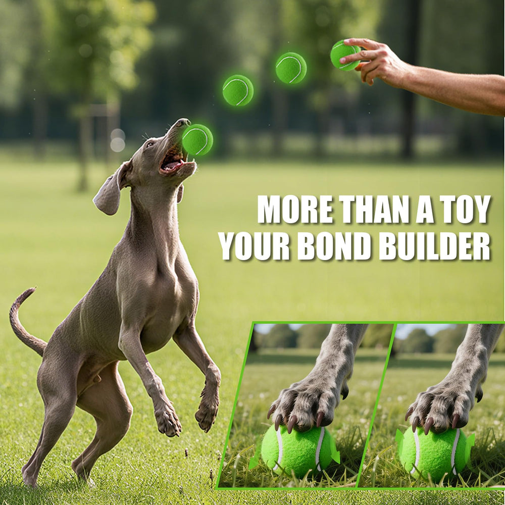 PHOEPET balles en action avec chien, stimulus d’exercice et plaisir