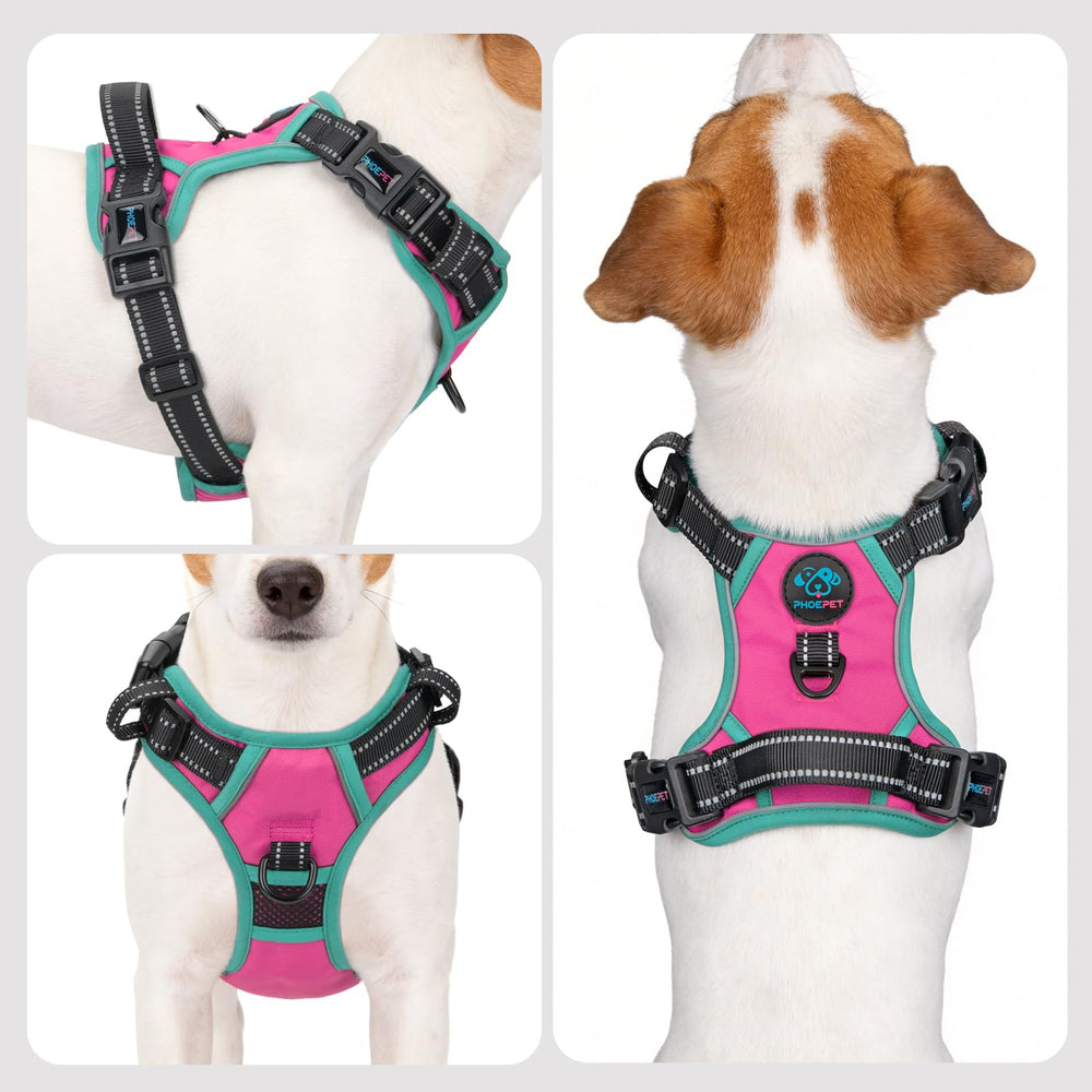 PHOEPET détail boucles rapides facilitant l'habillage et la sécurité