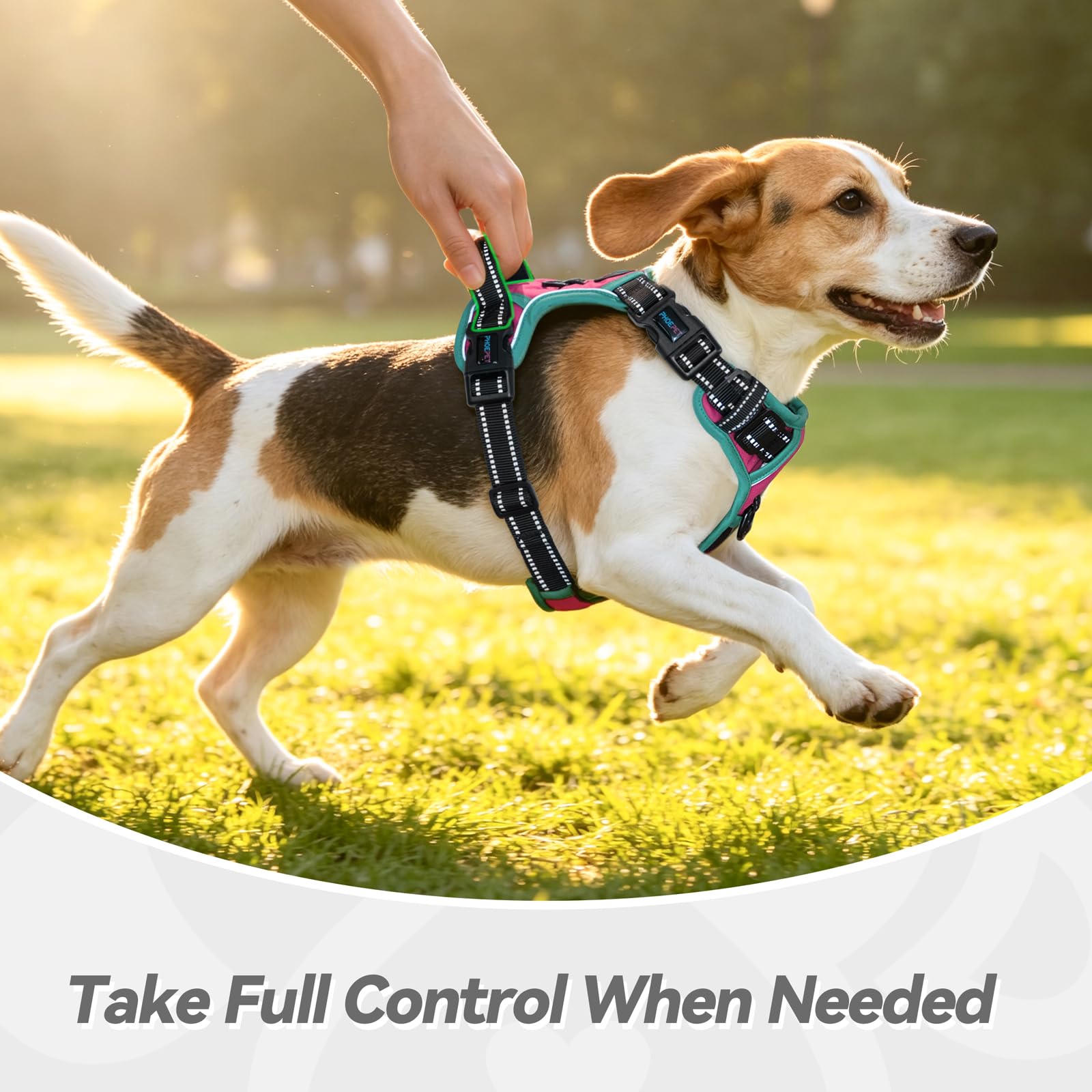 PHOEPET harnais chien en promenade réduisant traction efficacement