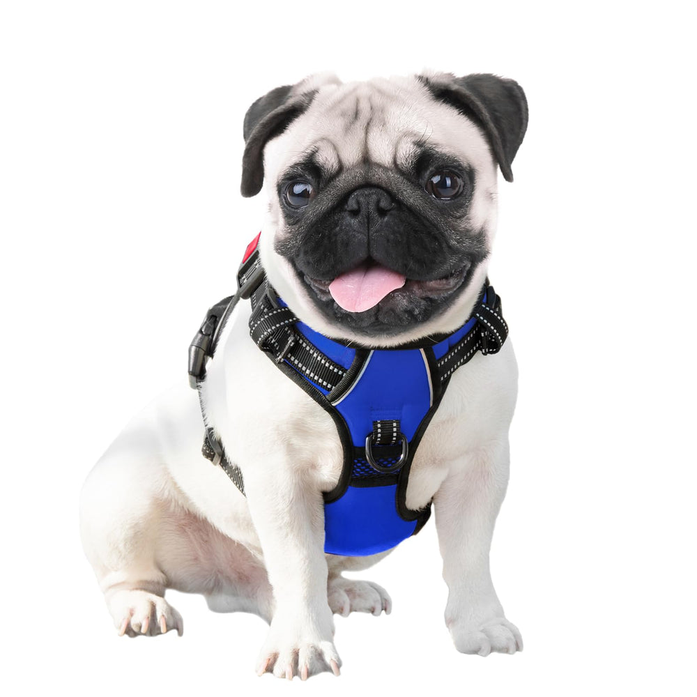 PHOEPET harnais comparaison de taille pour choisir le medium adapté