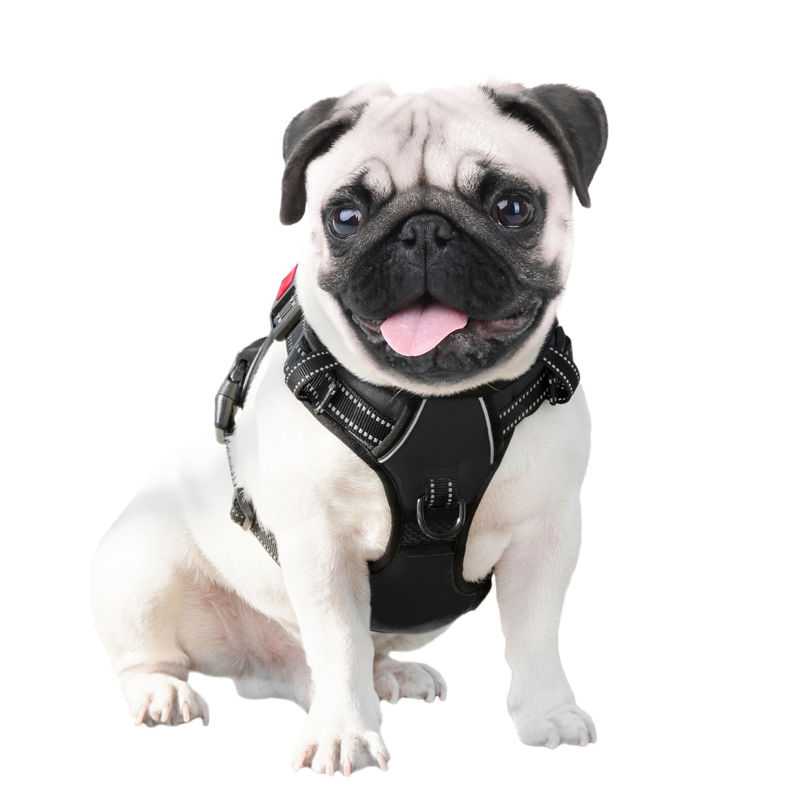 PHOEPET harnais comparaison taille chien, aide au choix de la bonne taille