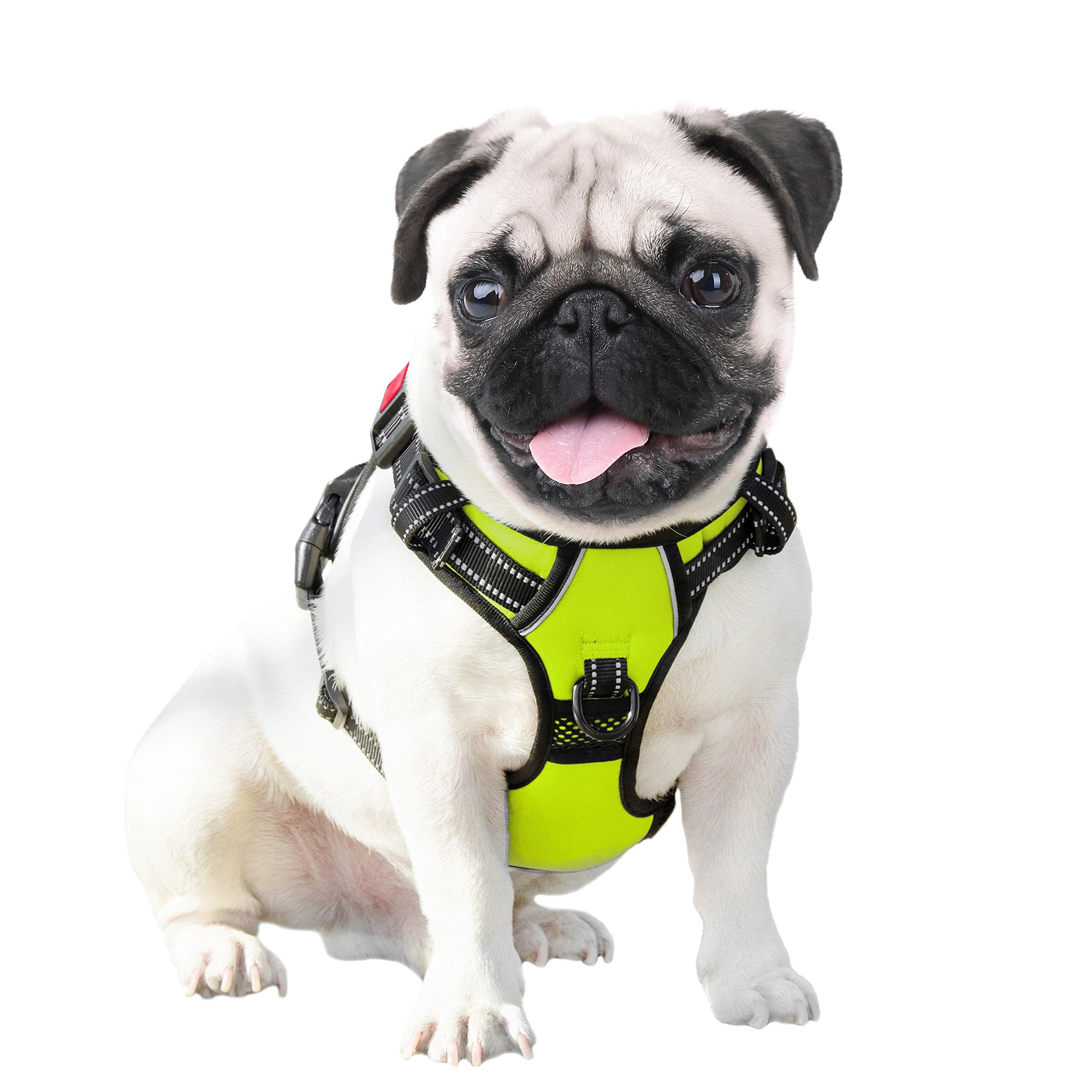 PHOEPET comparaison taille et échelle pour choisir la bonne taille