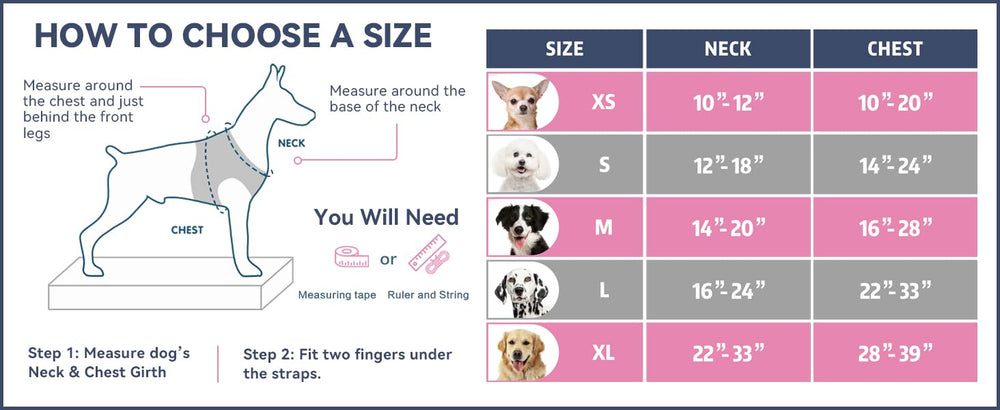 PHOEPET comparaison d'échelle pour choisir la bonne taille exacte