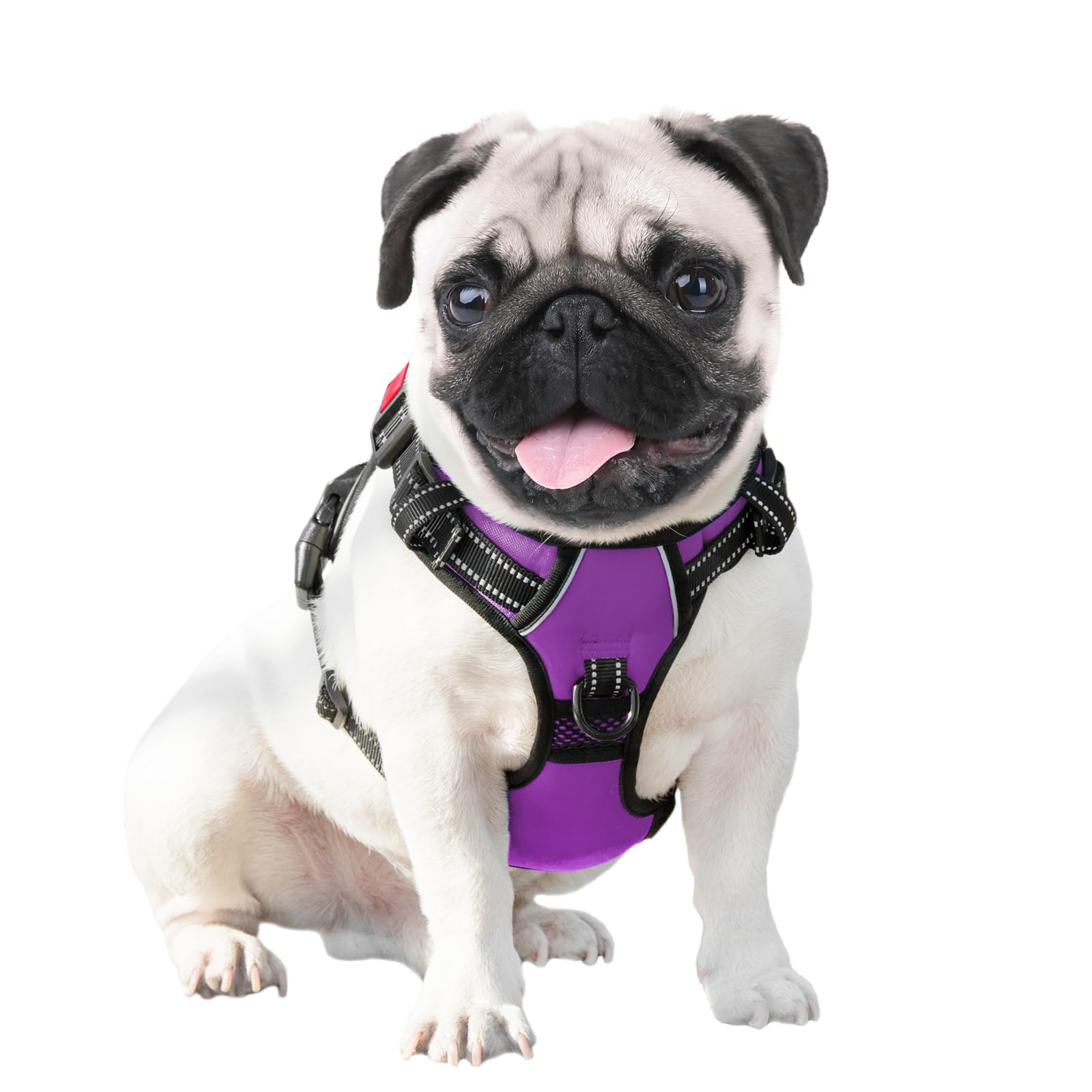 PHOEPET harnais chien en promenade illustrant usage quotidien et aisance