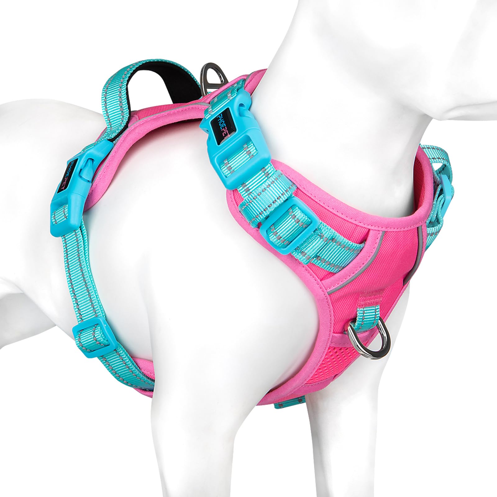 PHOEPET harnais face avant montrant design et fermeture rapide pour gain de temps