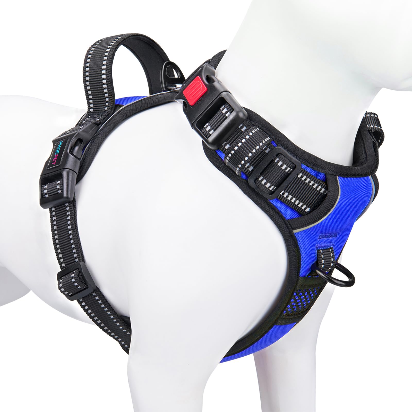 PHOEPET harnais face avant medium montrant confort et maintien