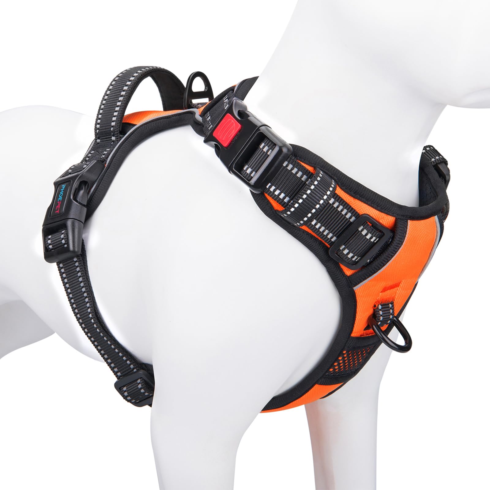 PHOEPET harnais vue avant montrant ajustement et confort