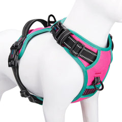 PHOEPET harnais vue face offrant confort et ajustement sûr