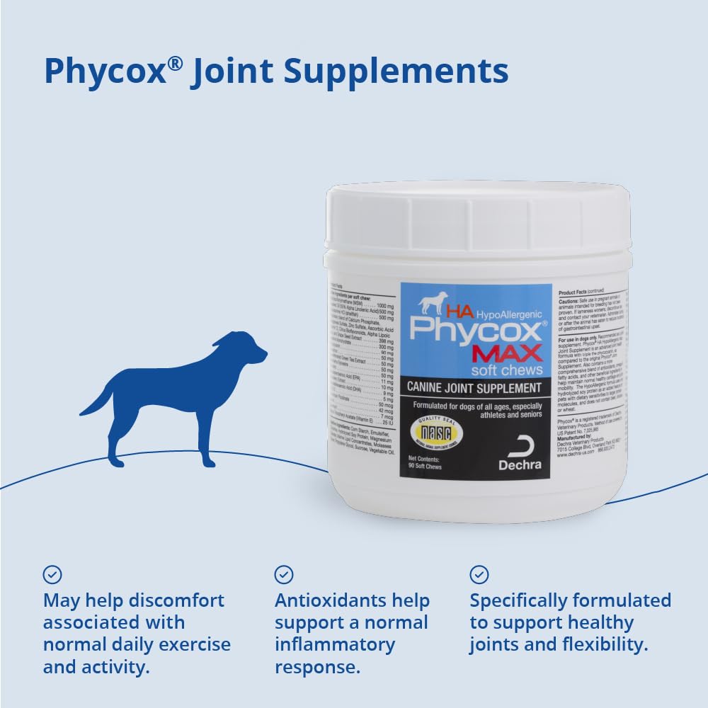 PhyCox pastille dans la main démontrant taille et aisance d'administration