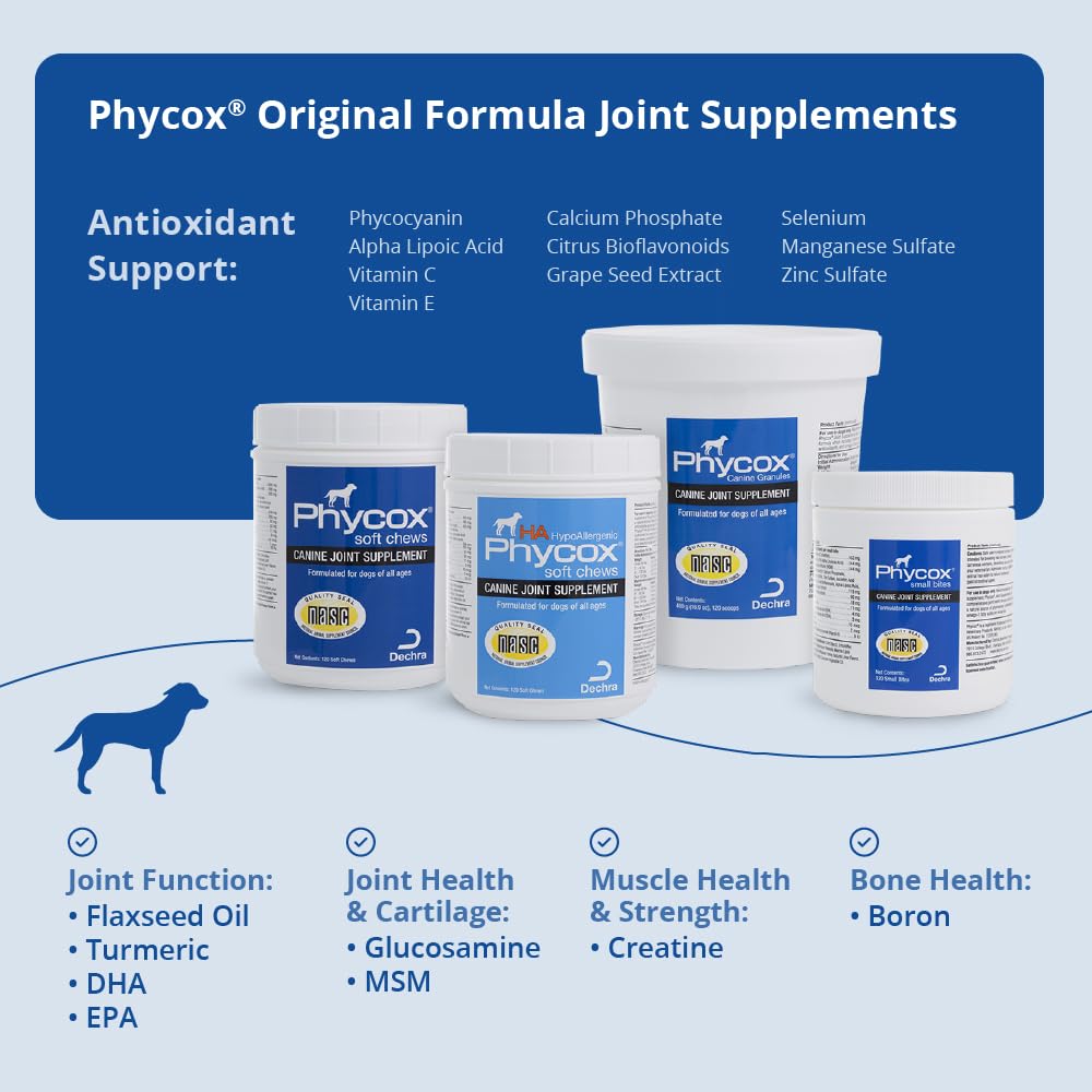 PhyCox chien consommant friandise montrant acceptation et récompense