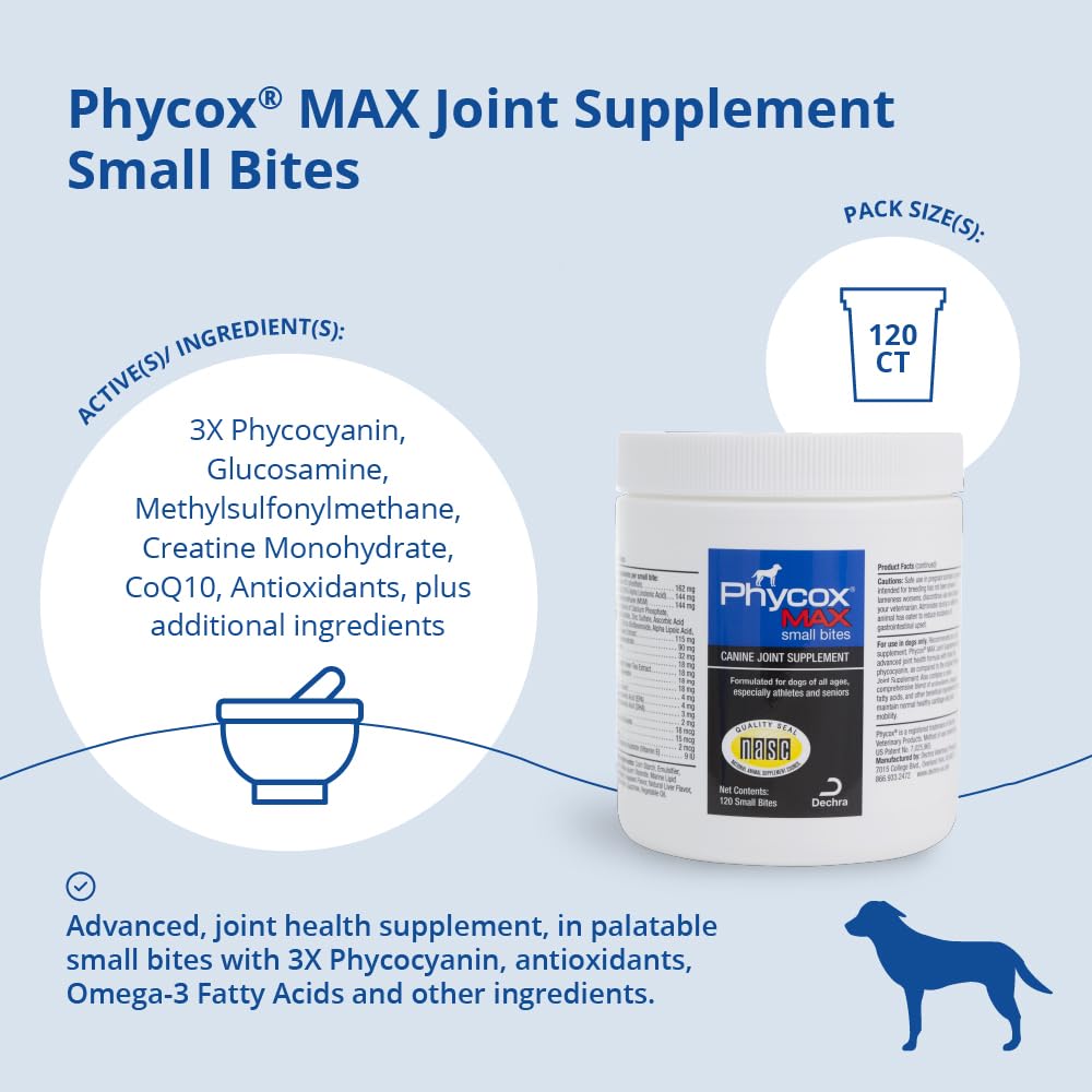 PhyCox gros plan texture moelleuse indiquant acceptation par le chien