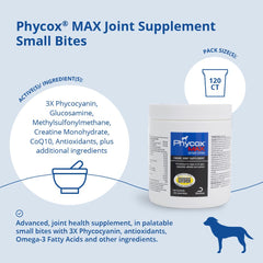 PhyCox gros plan texture moelleuse indiquant acceptation par le chien
