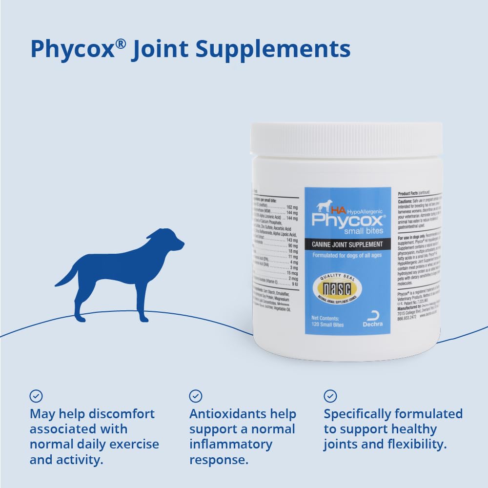 PhyCox pot ouvert montrant chews accessibles pour distribution simple