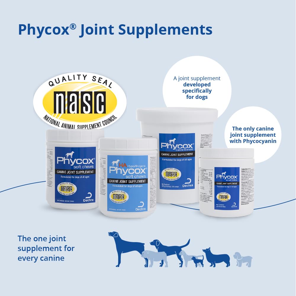 PhyCox comparaison taille montrant bouchée petite et pratique